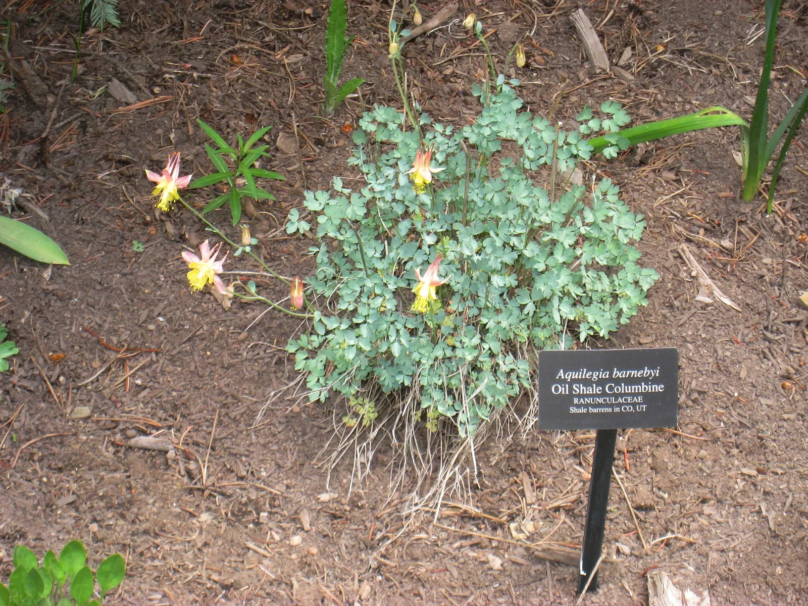 Betty Ford Alpine Gardens Education Center