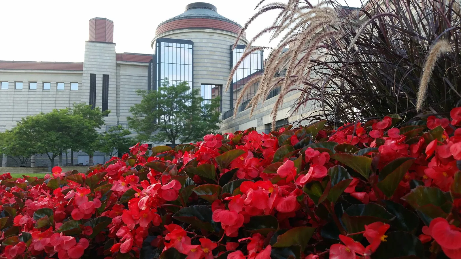 Minnesota History Center