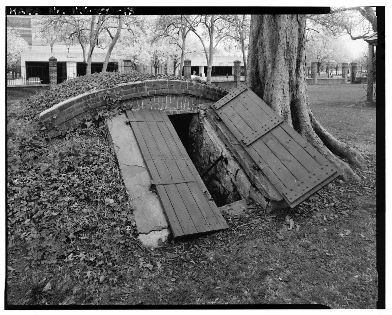 William Trent House Museum