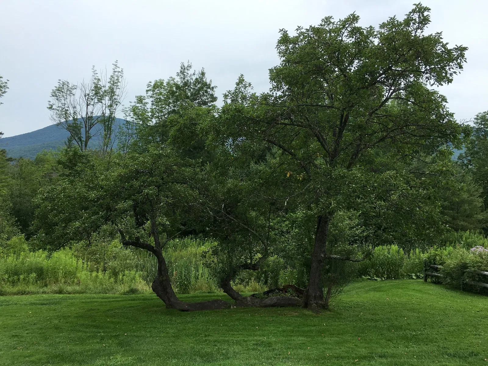 Hildene, the Lincoln Family Home