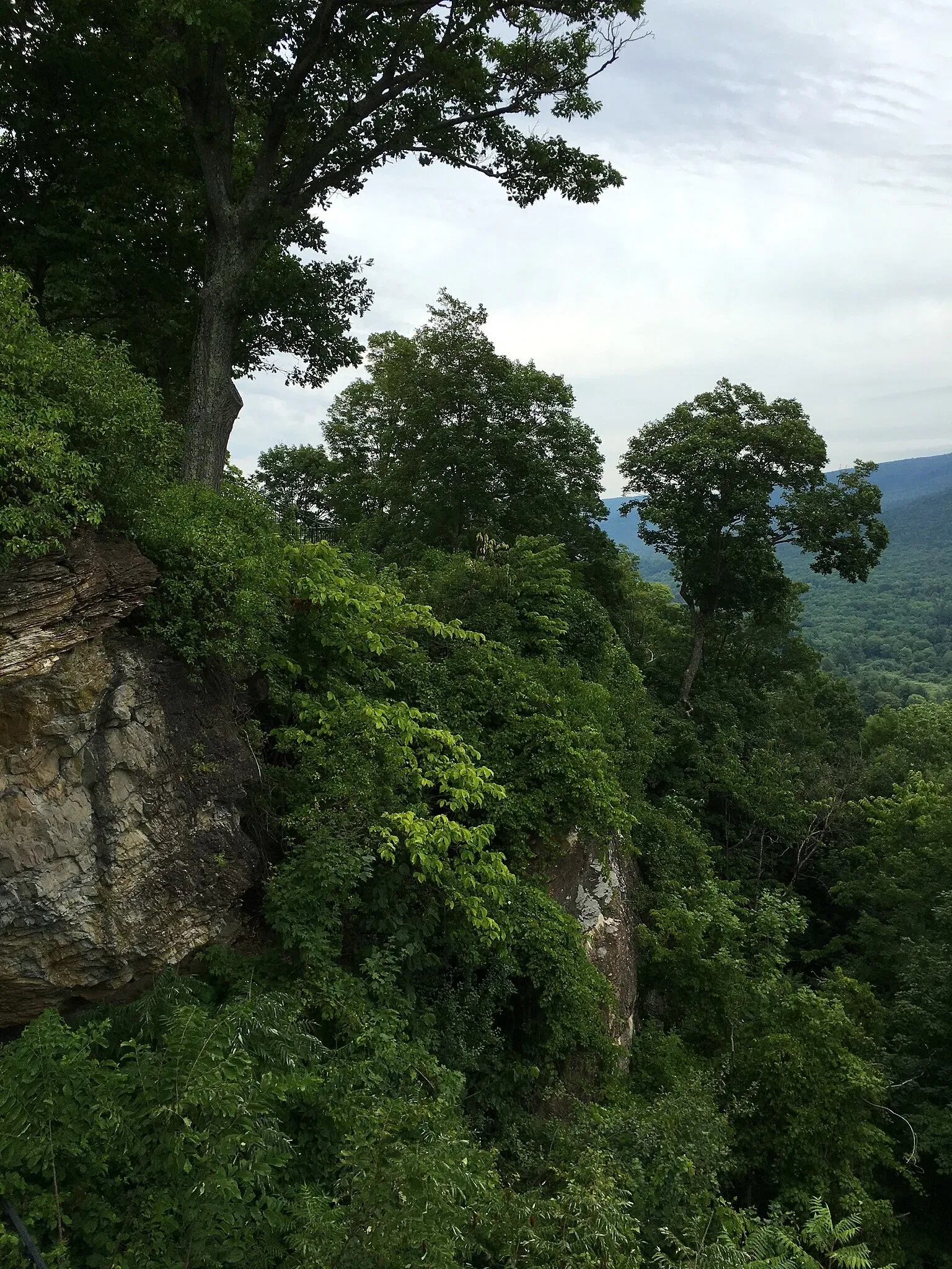 Hildene, the Lincoln Family Home