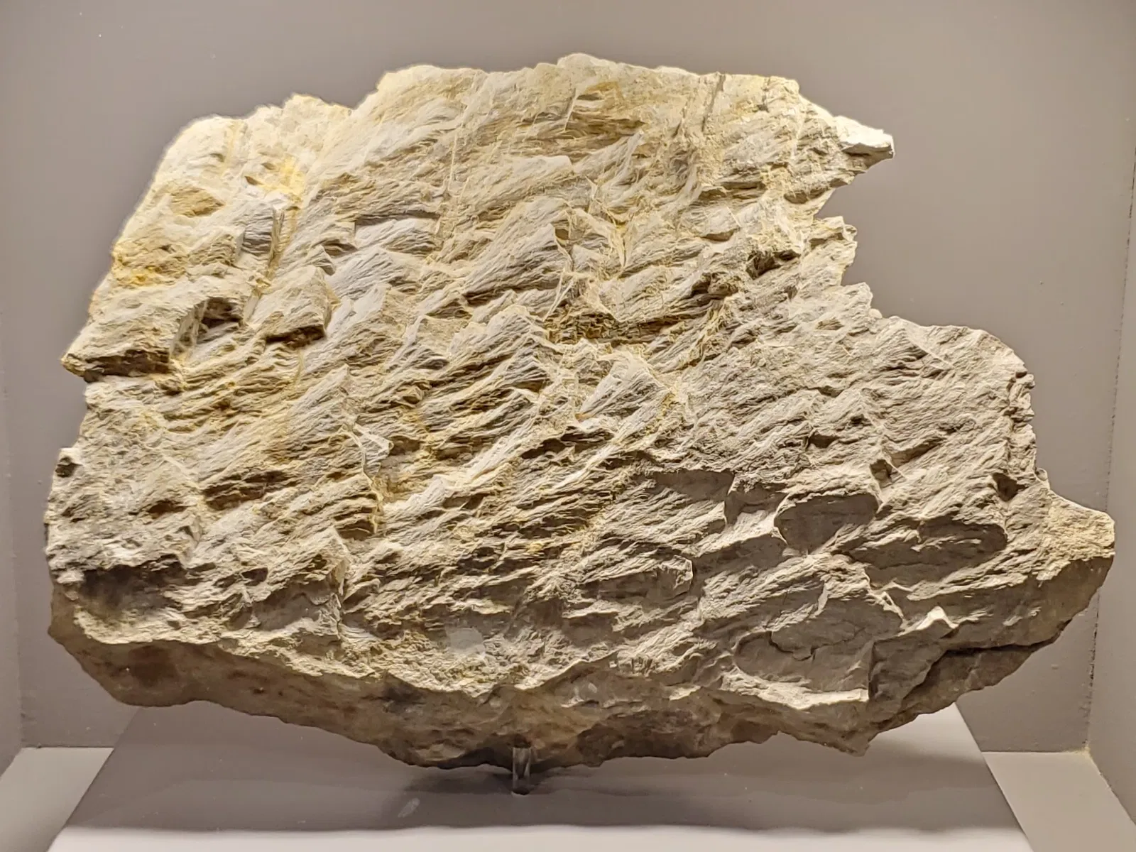 Tellus Science Museum