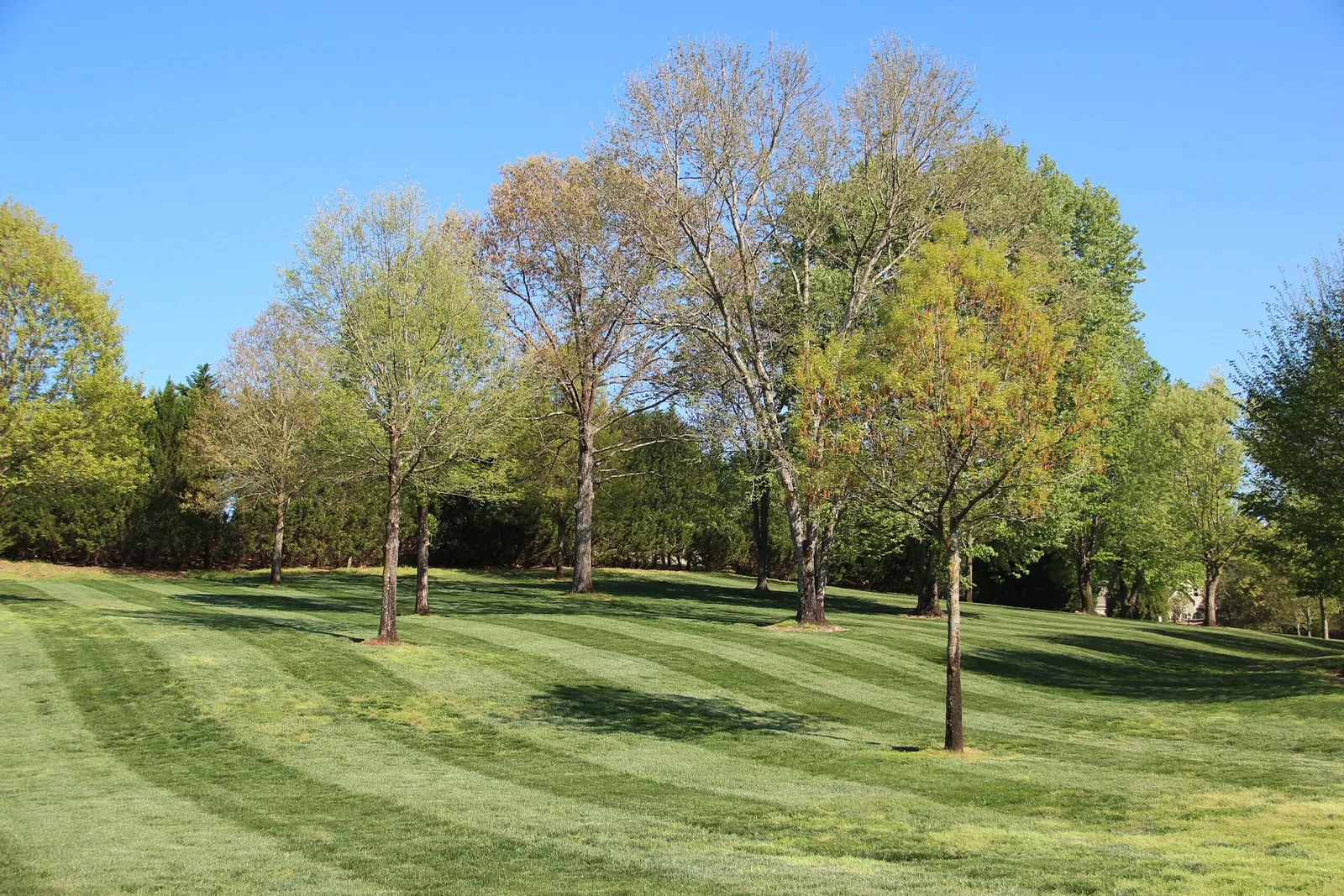 Tellus Science Museum