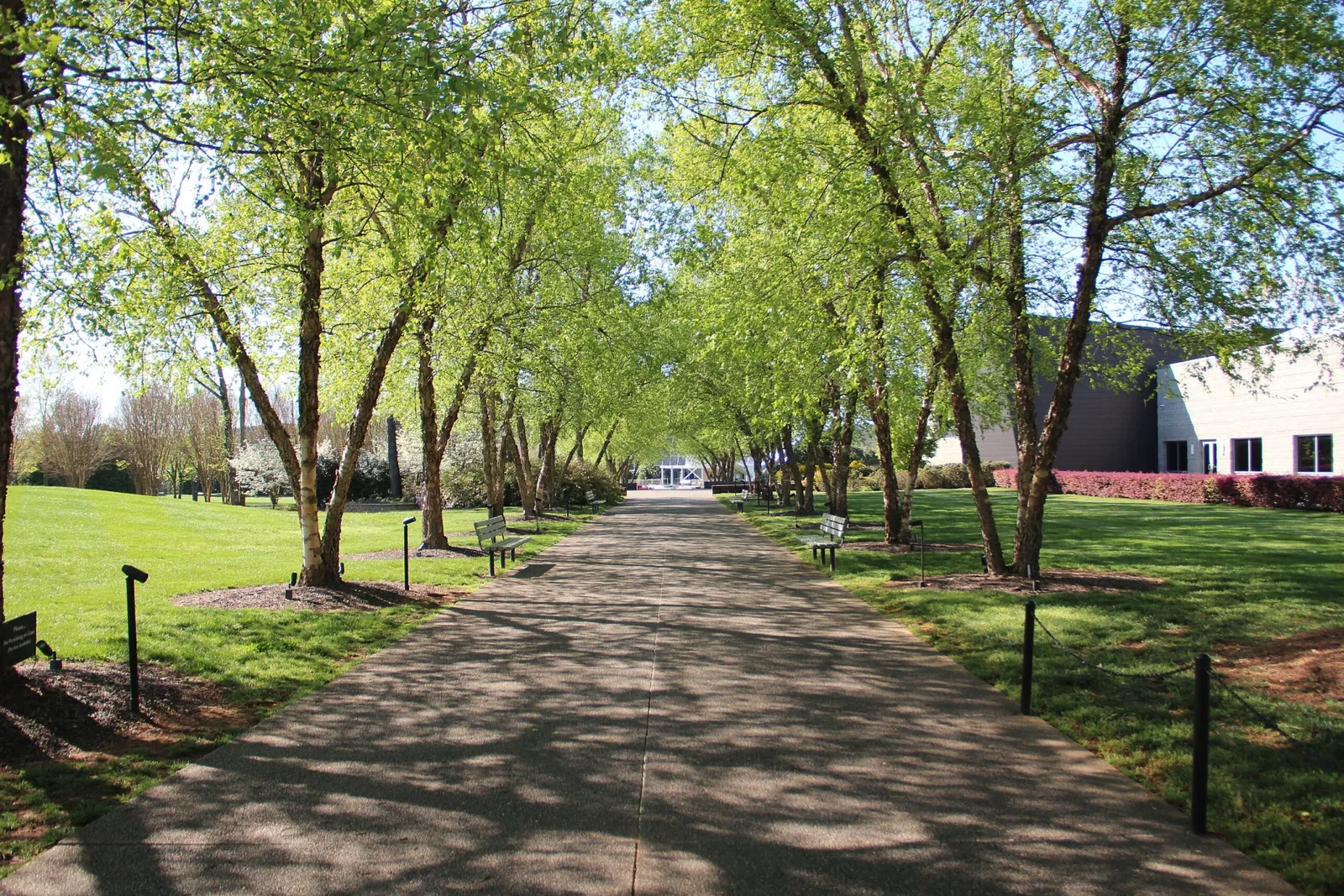 Tellus Science Museum