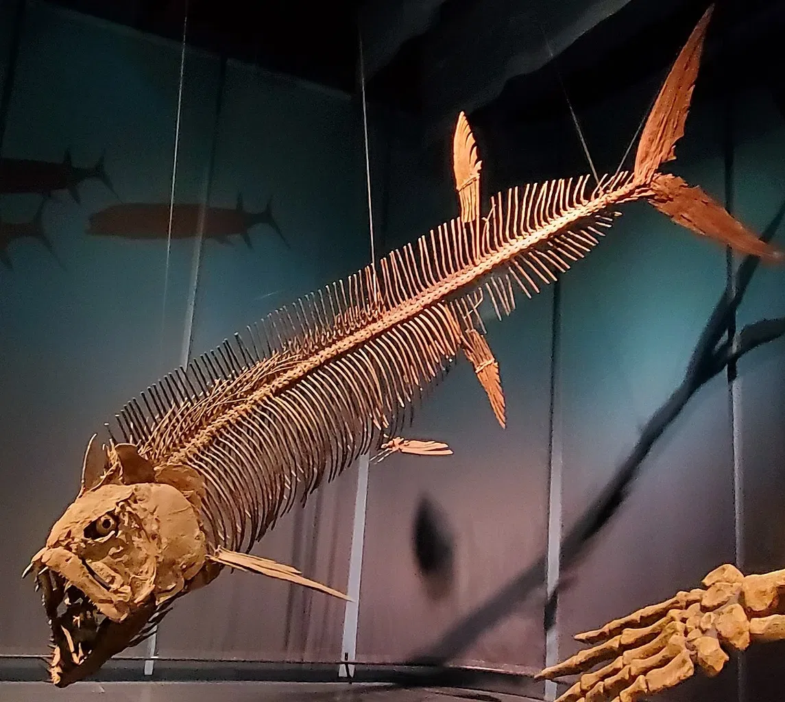 Tellus Science Museum