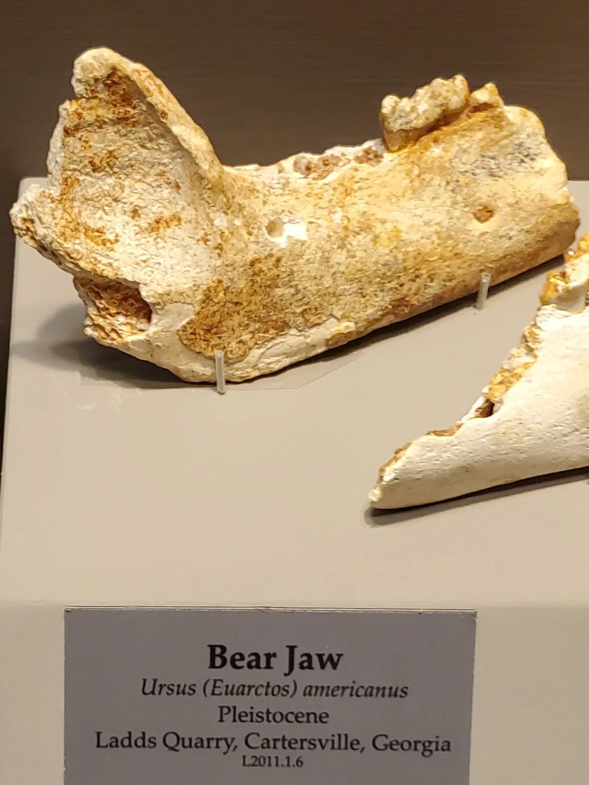 Tellus Science Museum