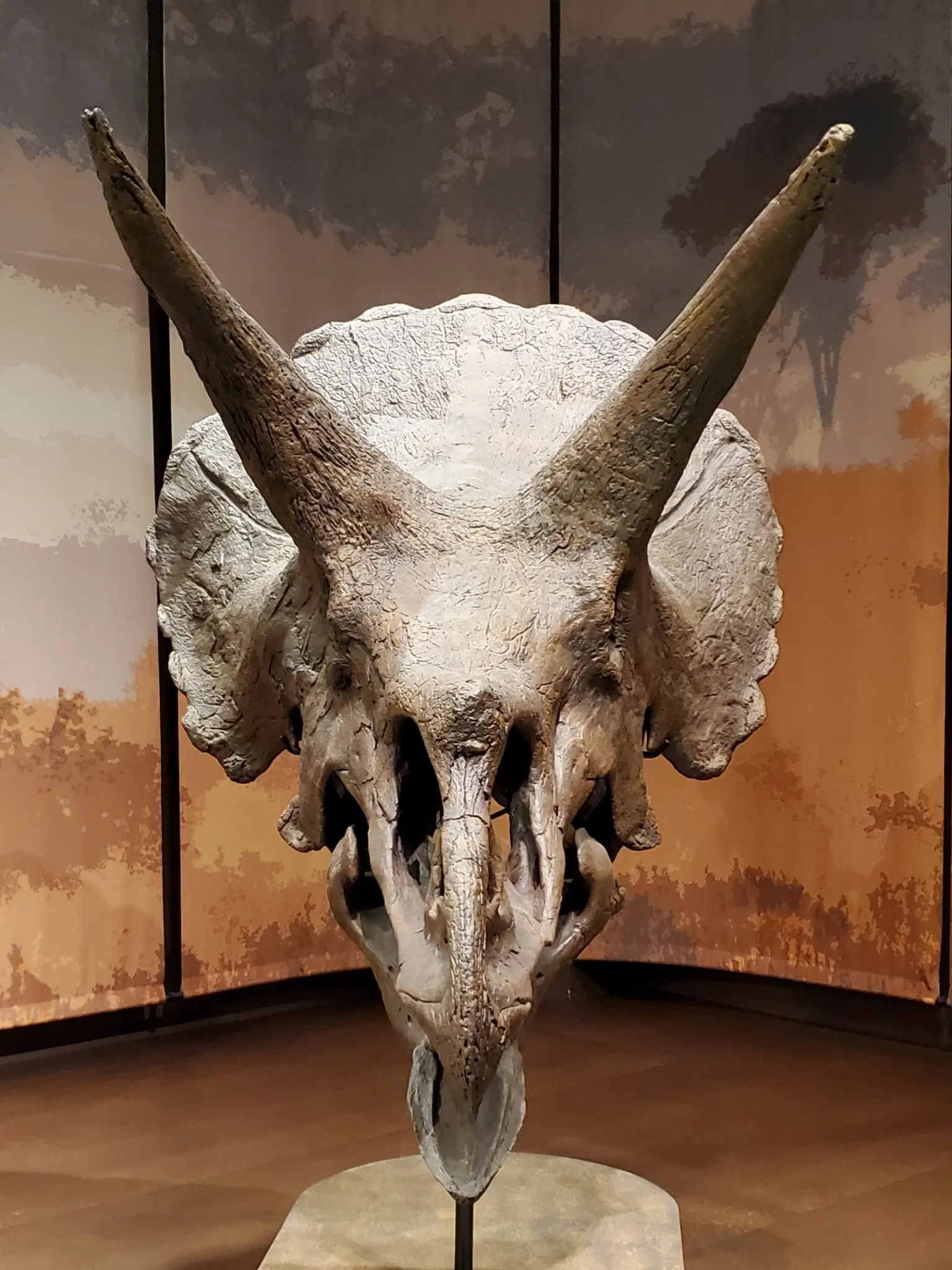 Tellus Science Museum