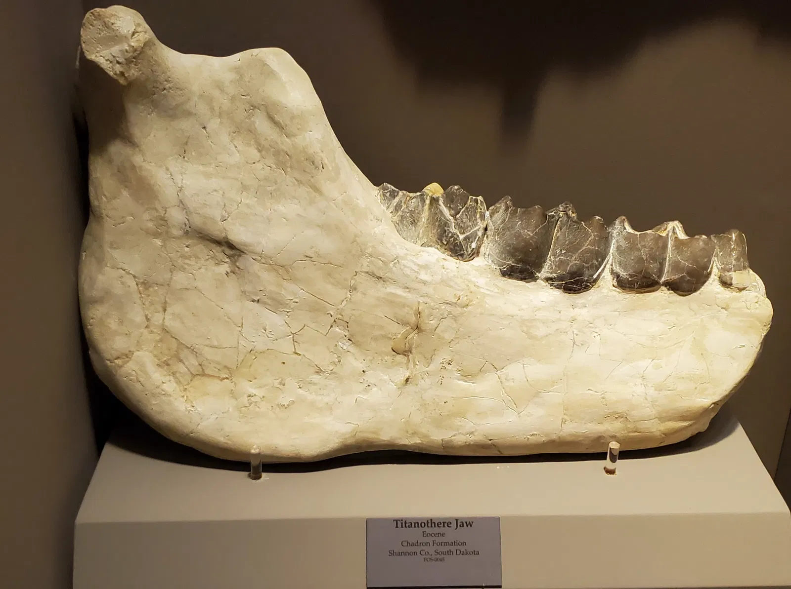 Tellus Science Museum