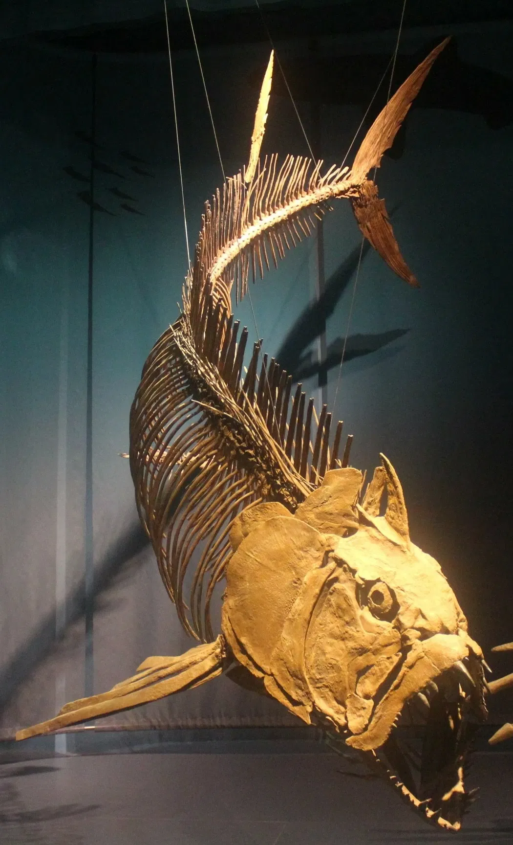 Tellus Science Museum