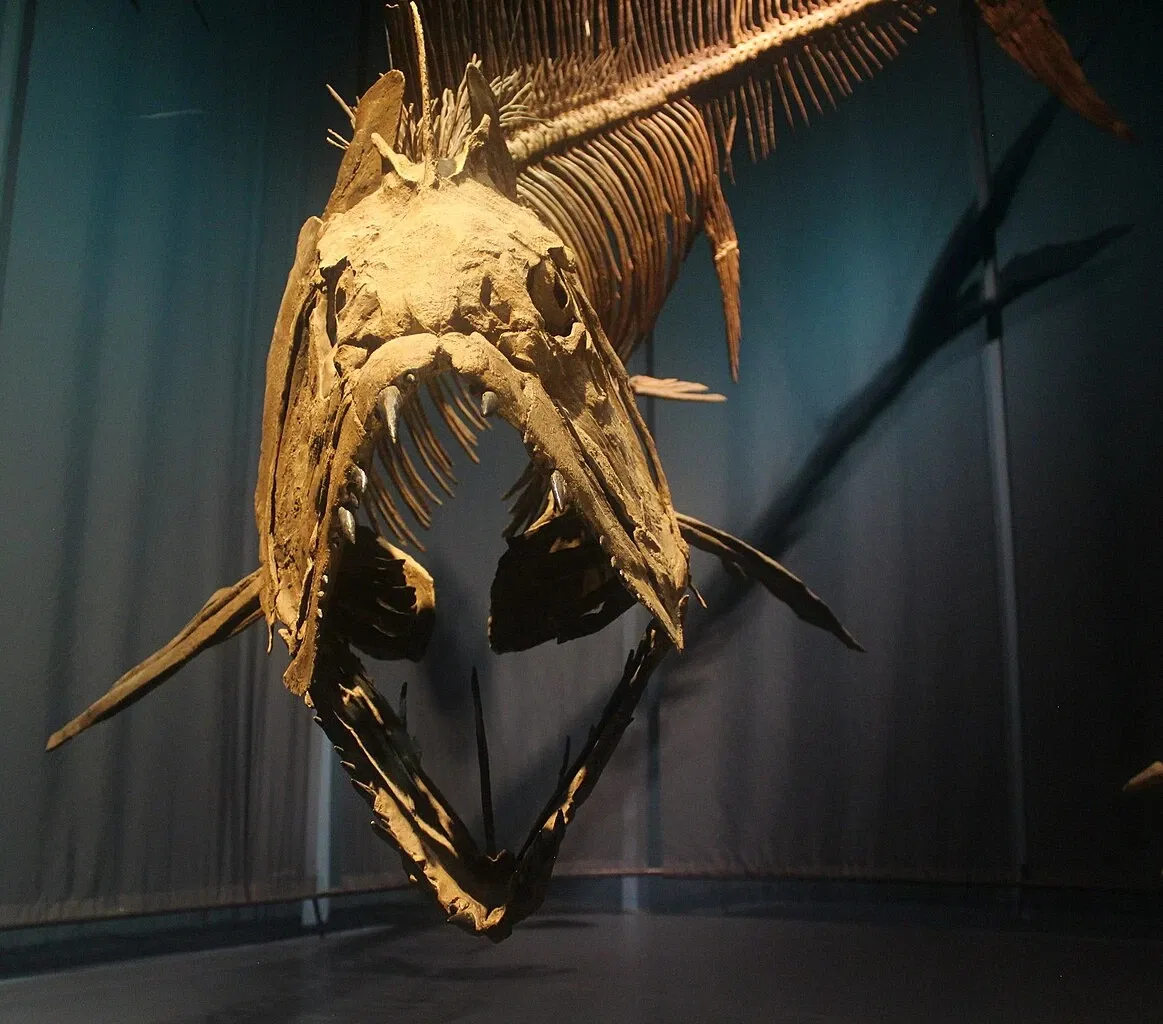 Tellus Science Museum