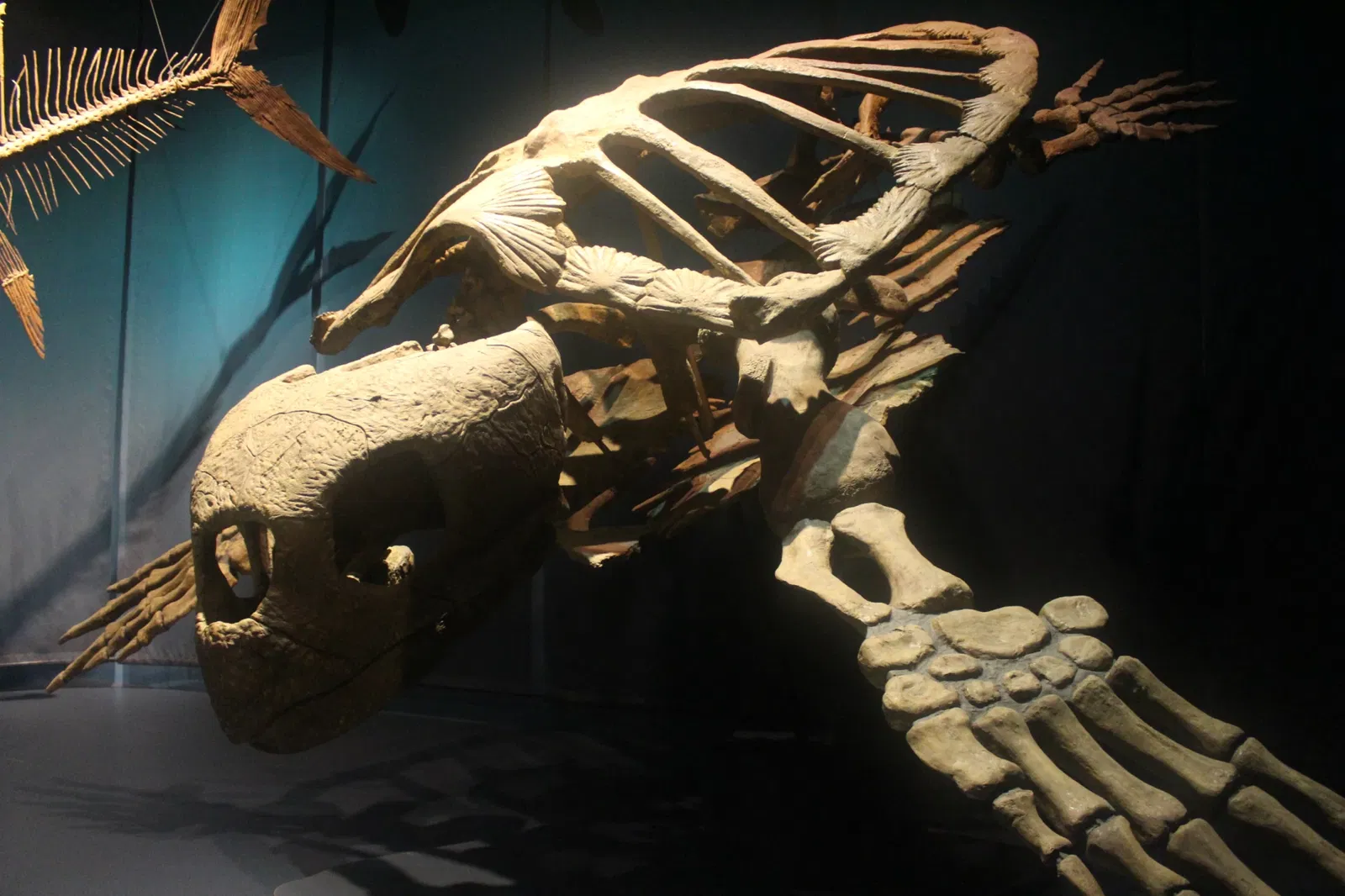 Tellus Science Museum