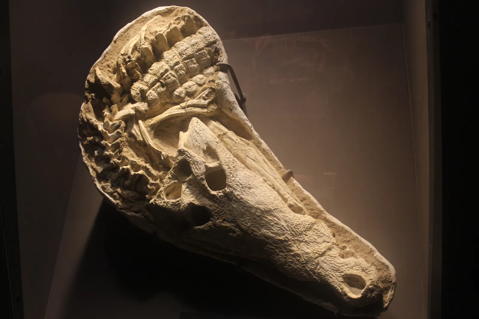 Tellus Science Museum