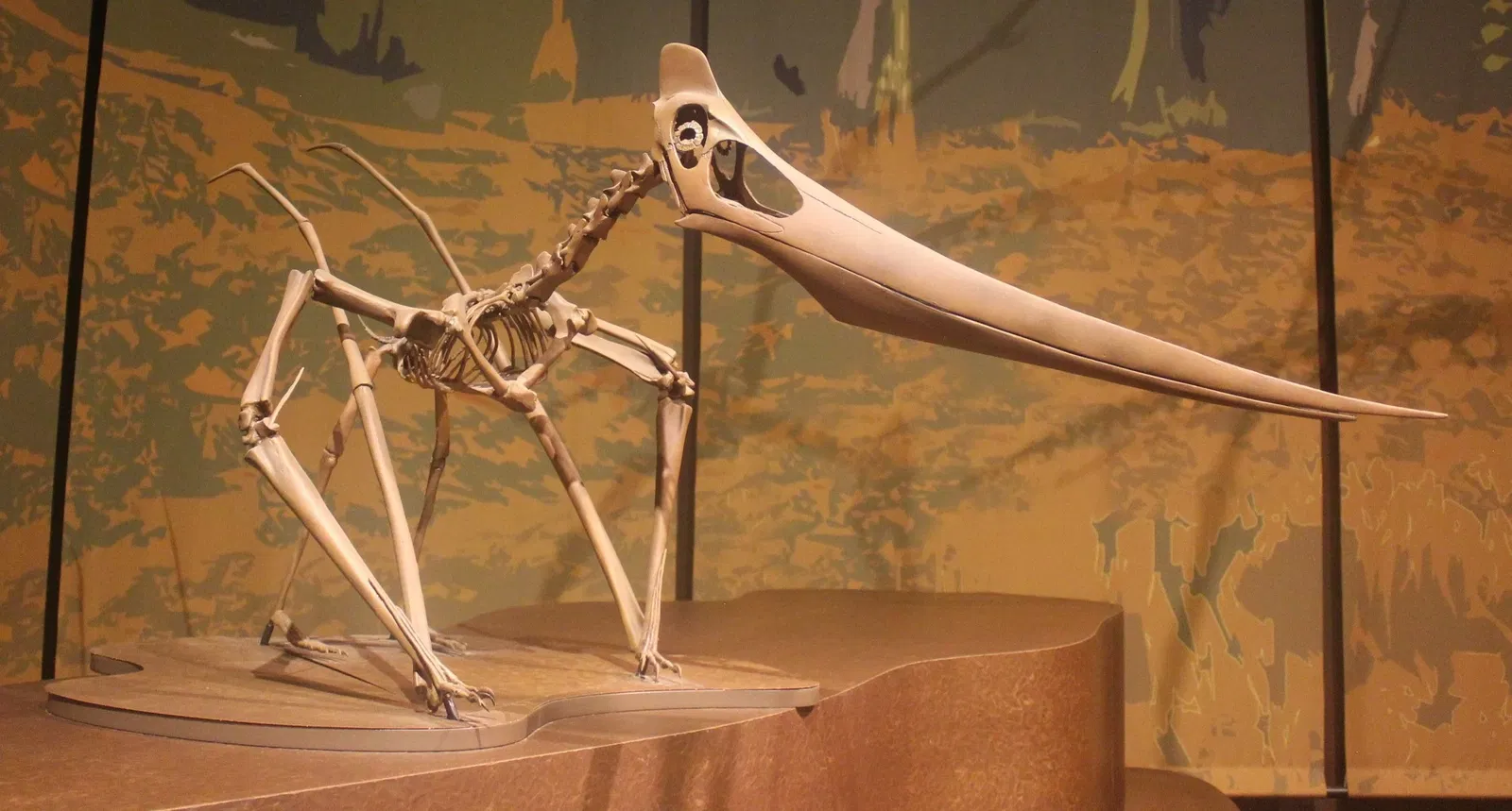 Tellus Science Museum