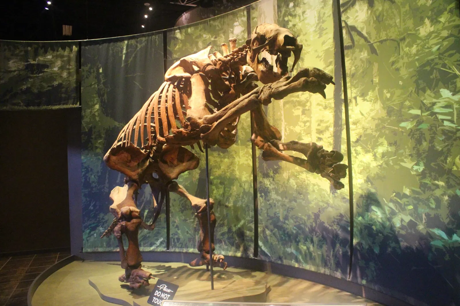 Tellus Science Museum