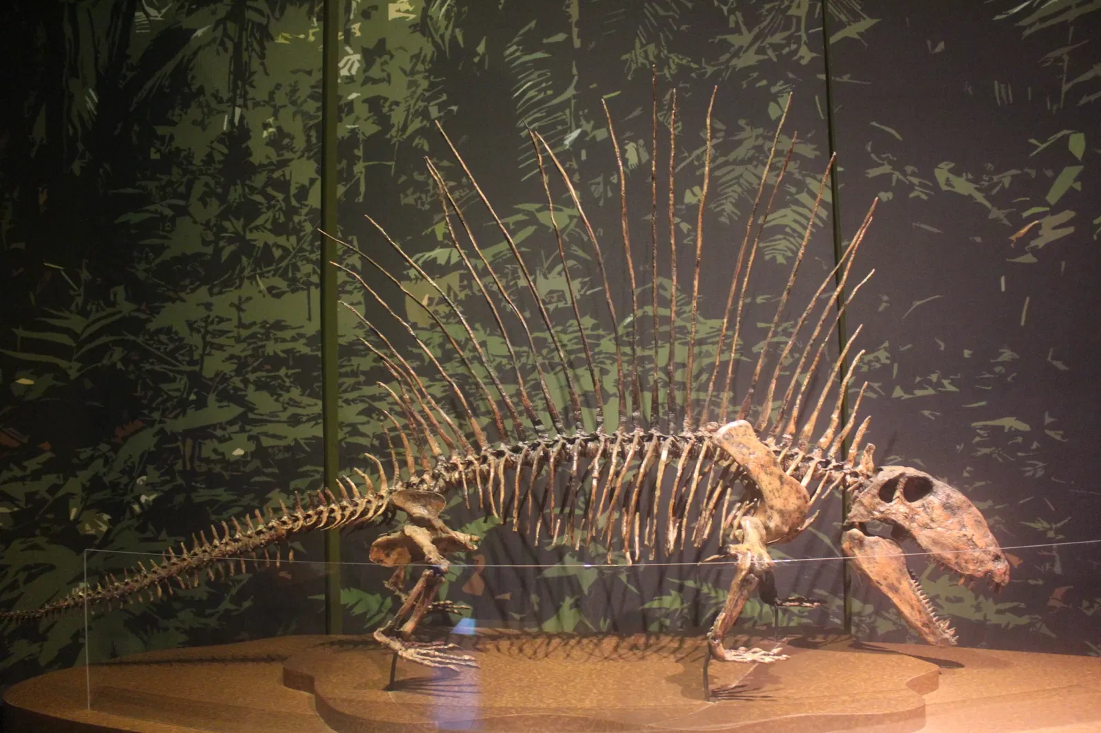 Tellus Science Museum