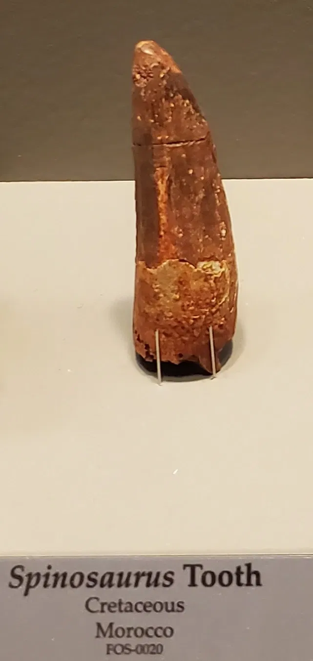 Tellus Science Museum