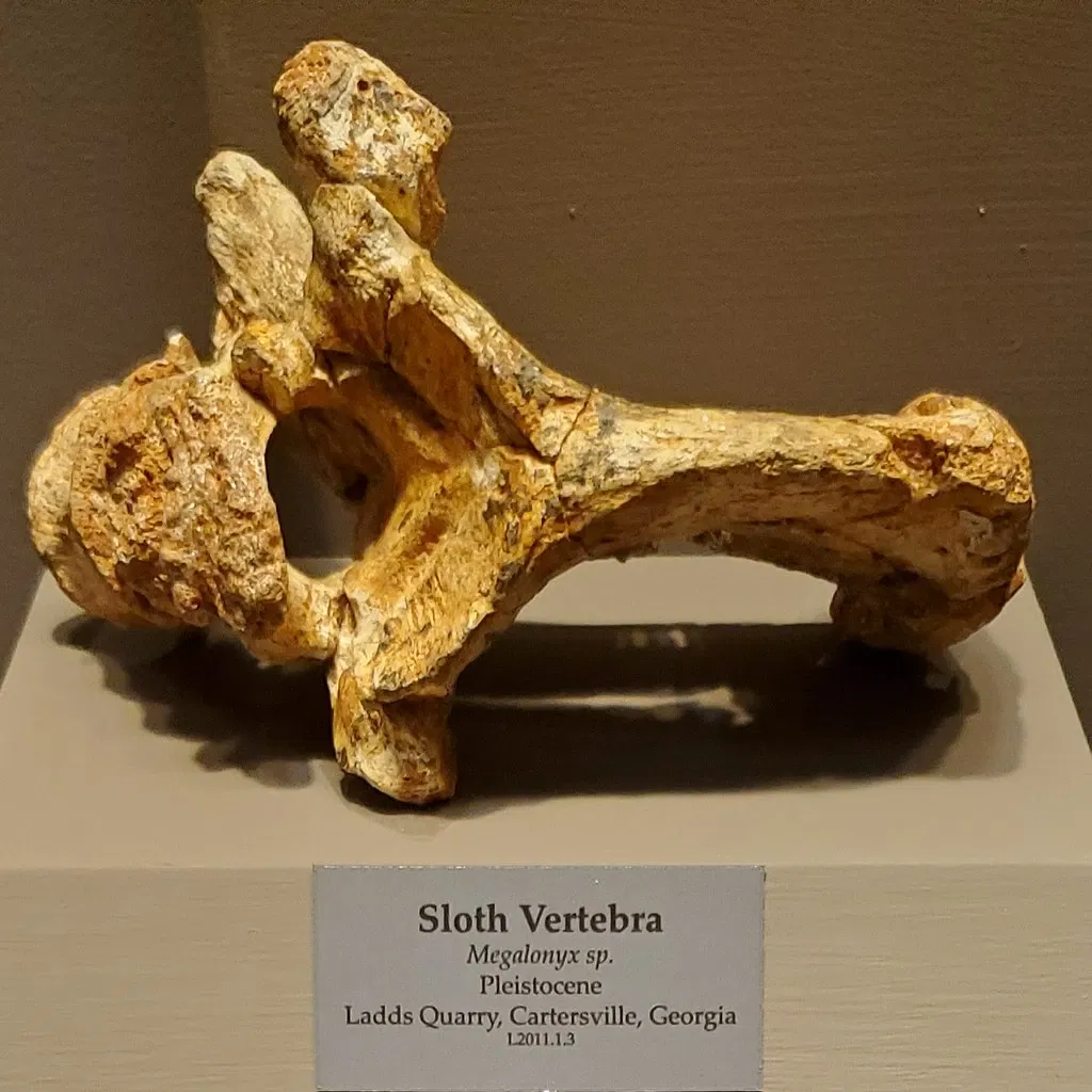 Tellus Science Museum