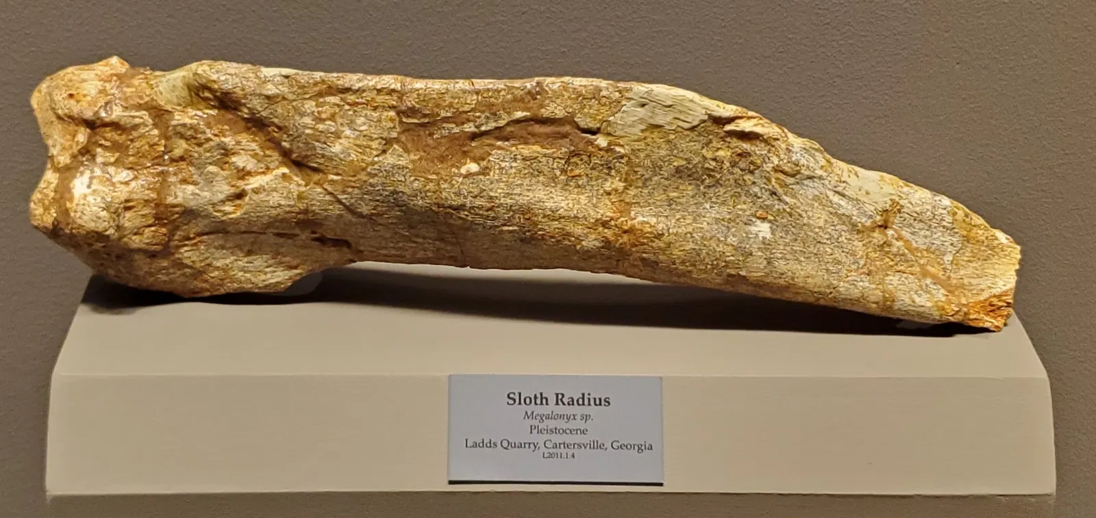 Tellus Science Museum