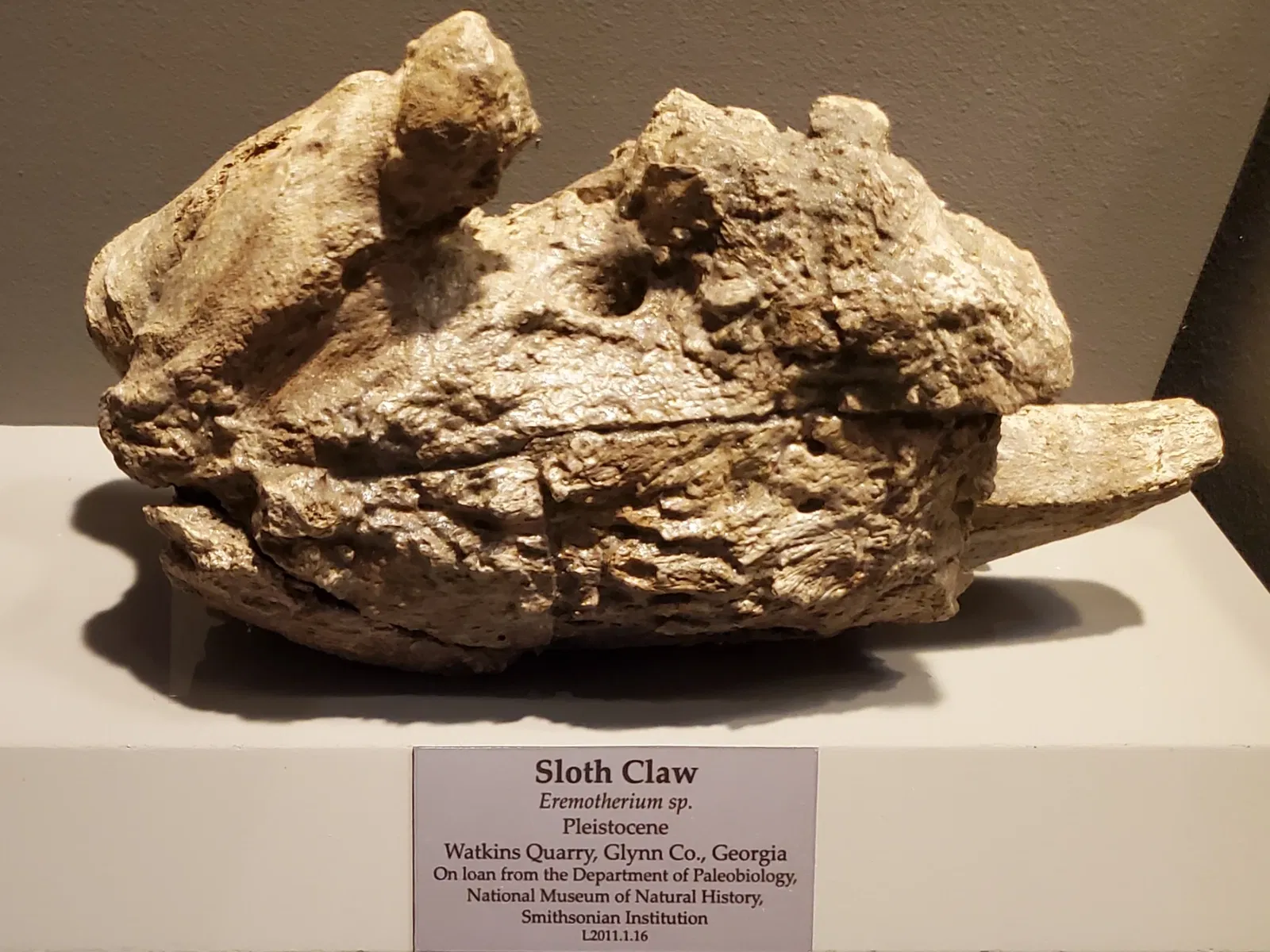 Tellus Science Museum