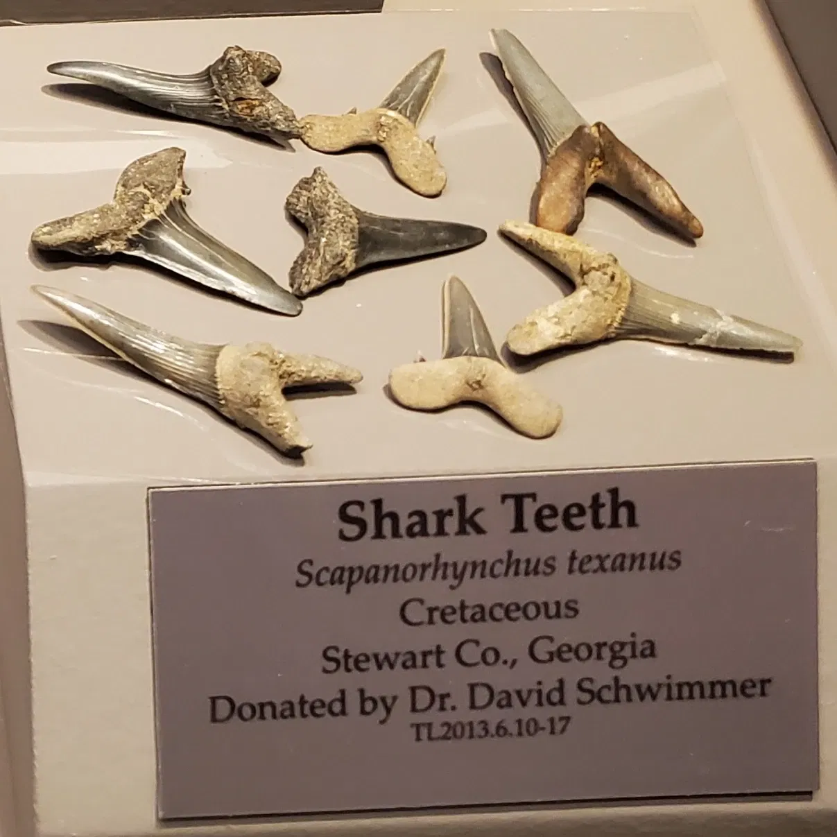 Tellus Science Museum