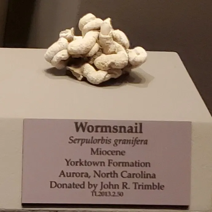 Tellus Science Museum