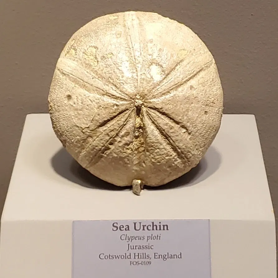 Tellus Science Museum