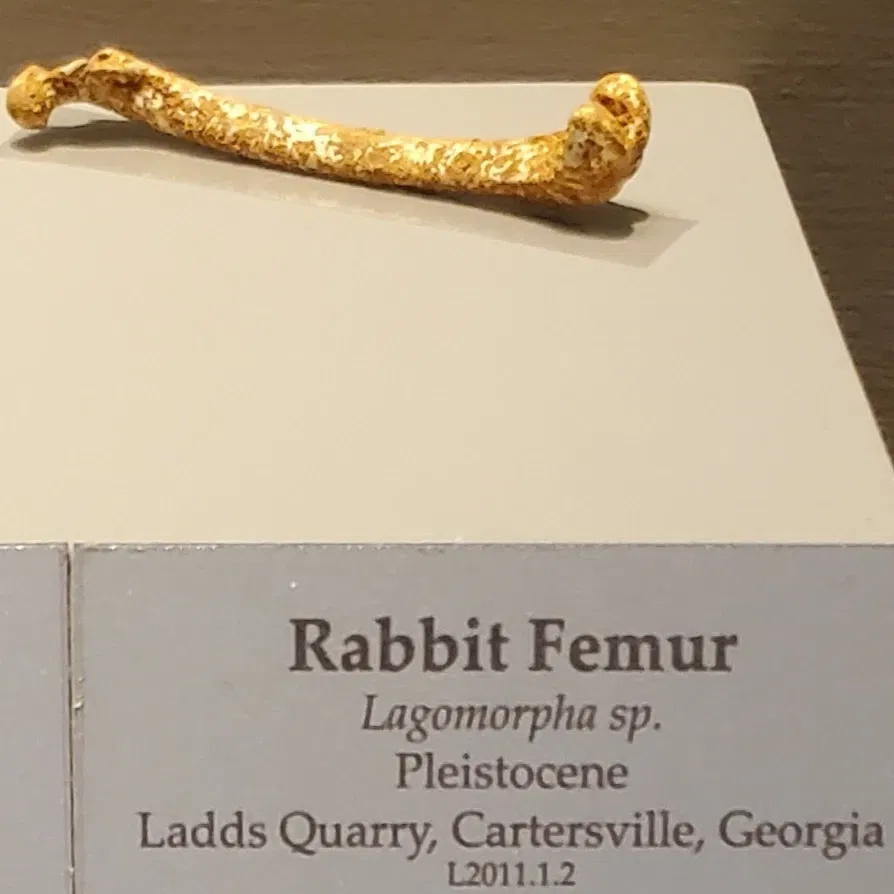 Tellus Science Museum