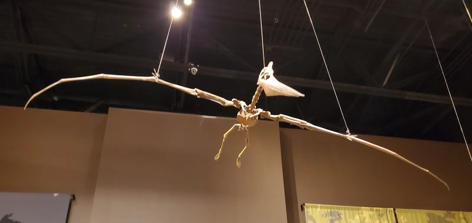 Tellus Science Museum