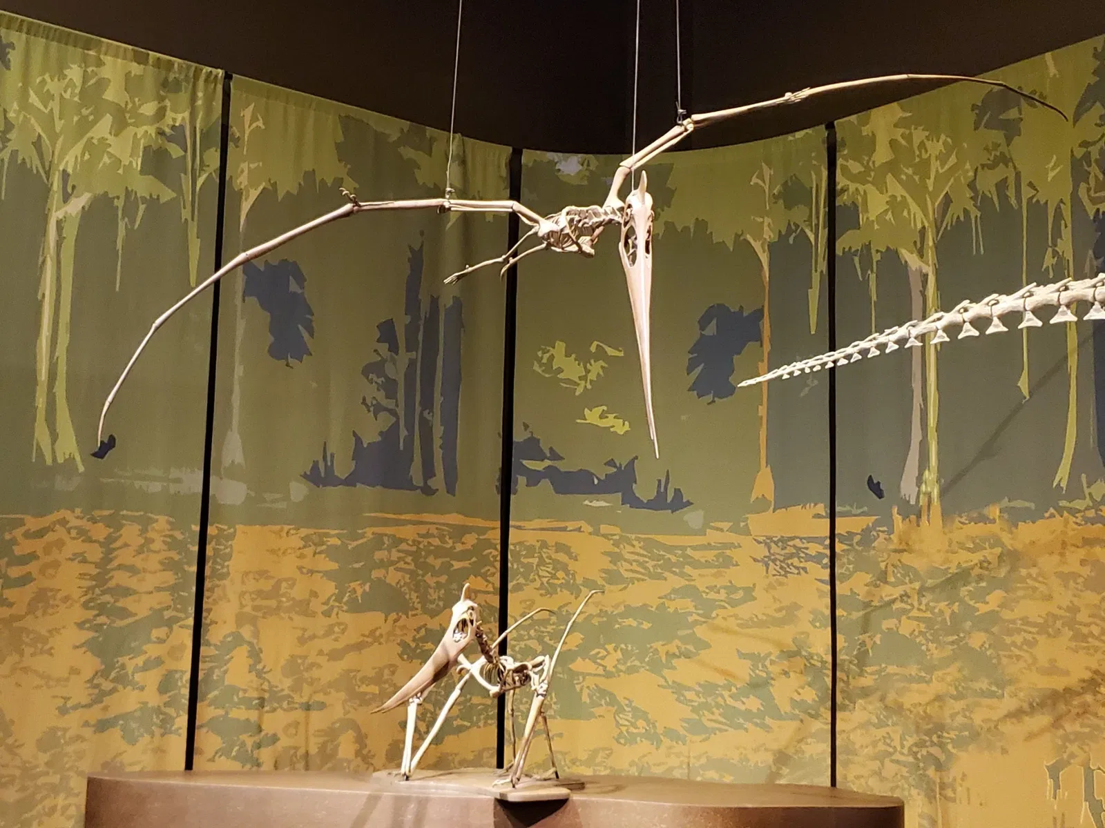 Tellus Science Museum