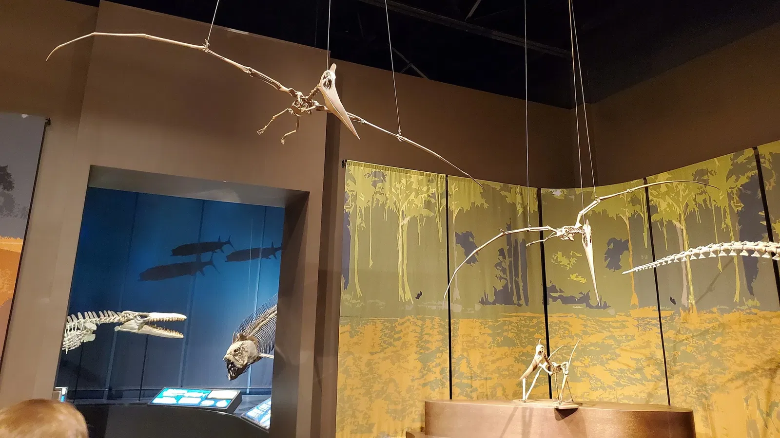 Tellus Science Museum