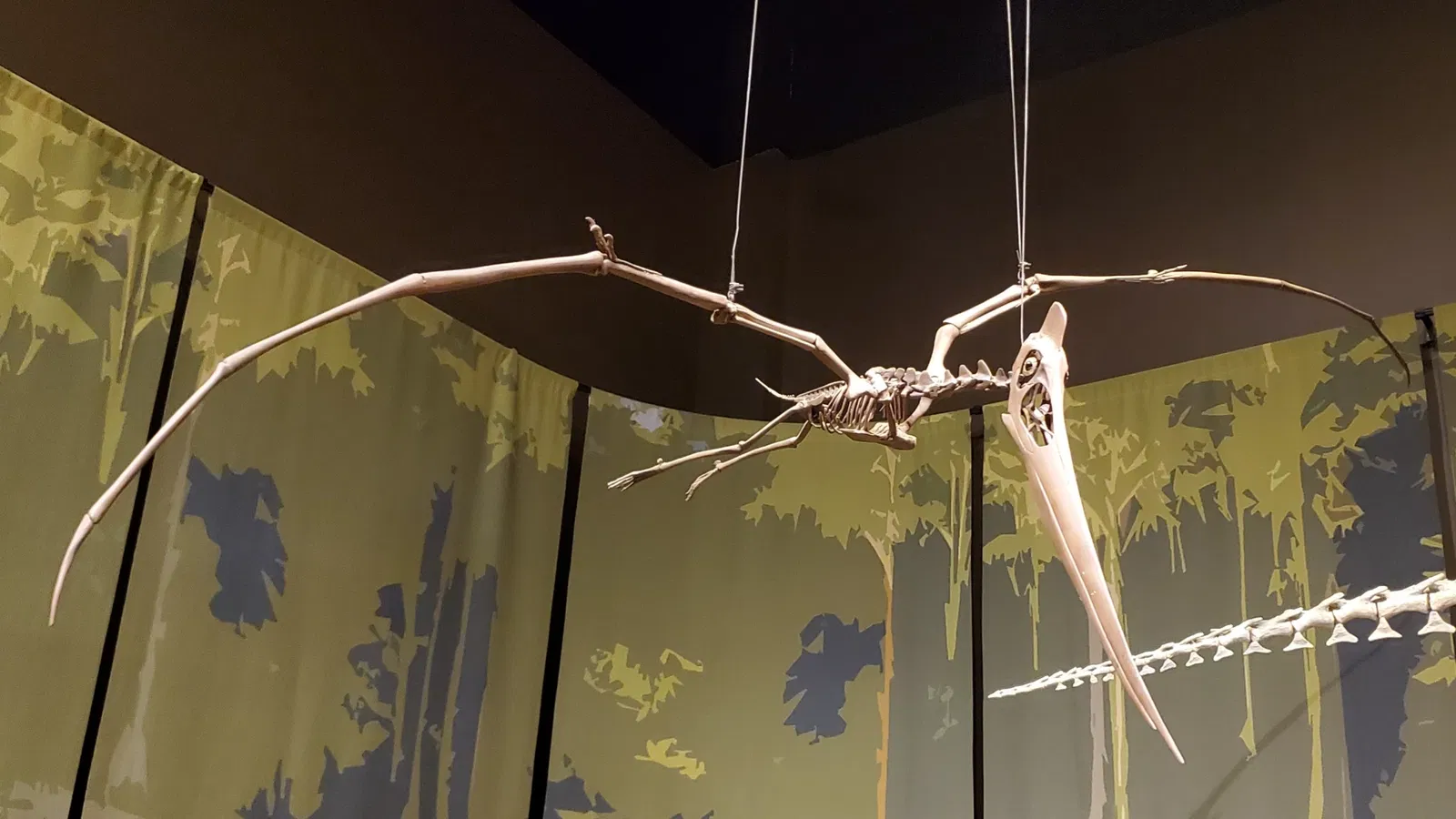 Tellus Science Museum