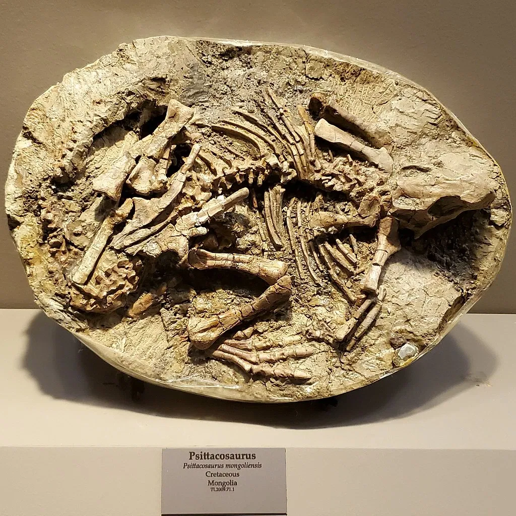 Tellus Science Museum