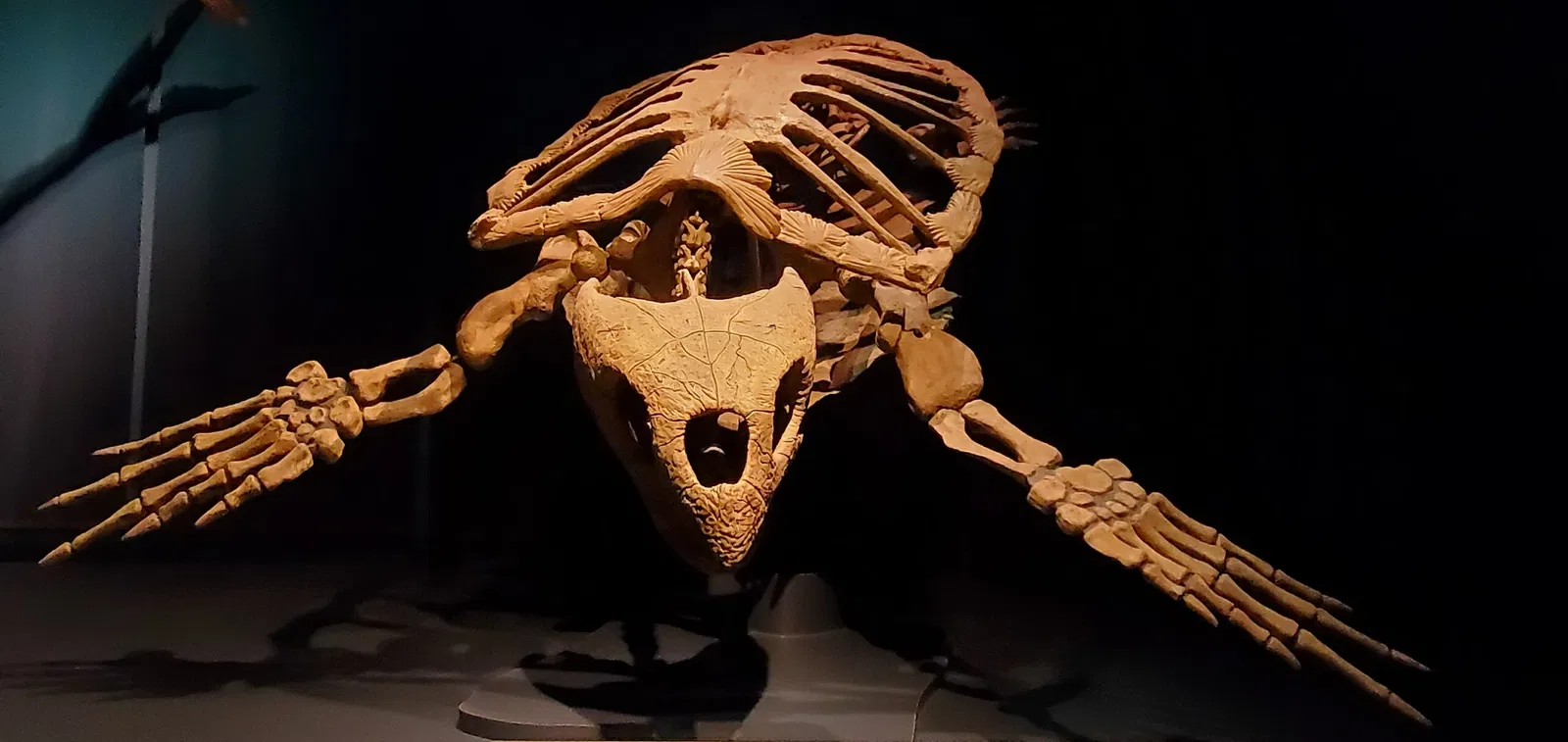 Tellus Science Museum