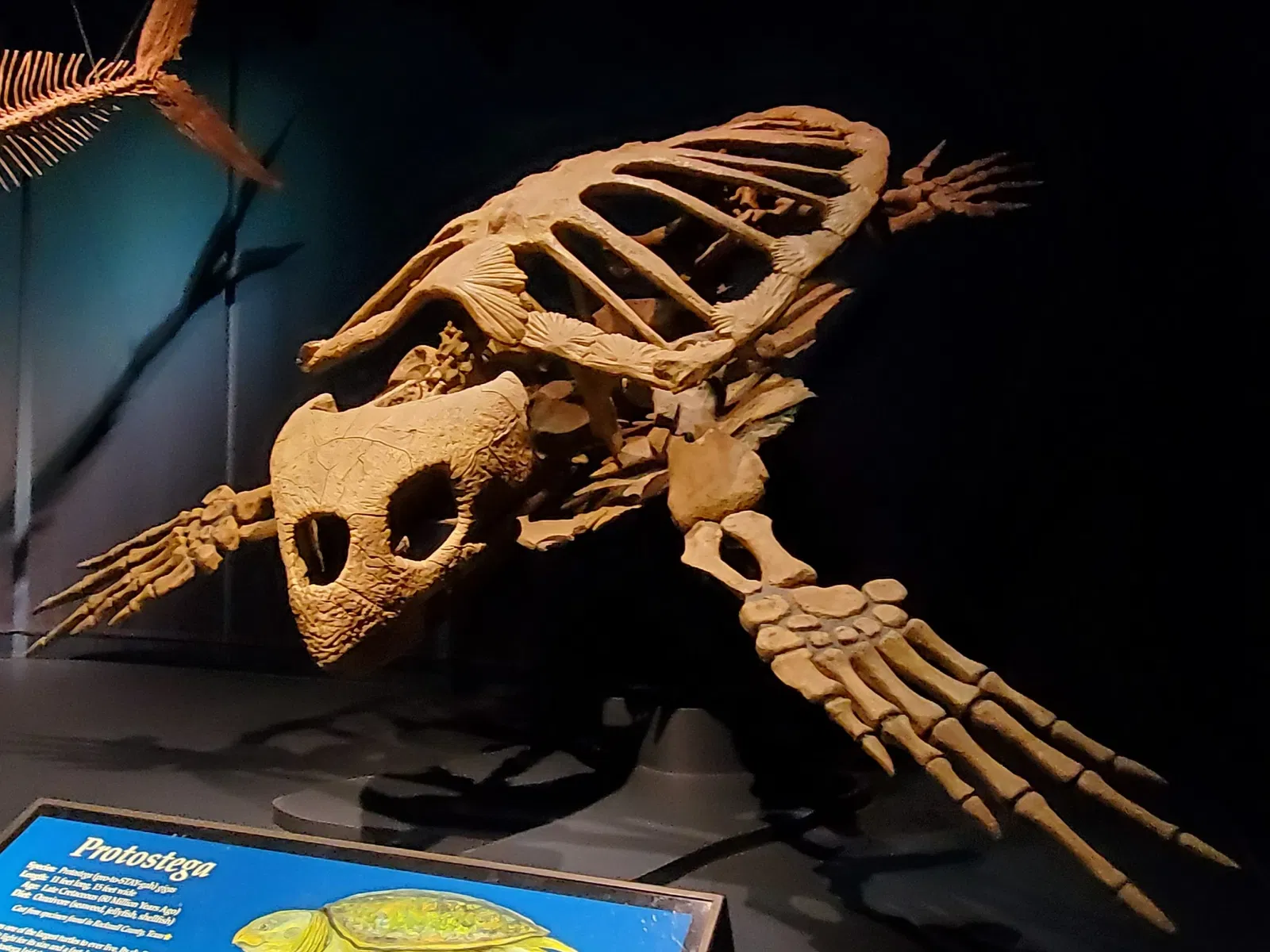 Tellus Science Museum