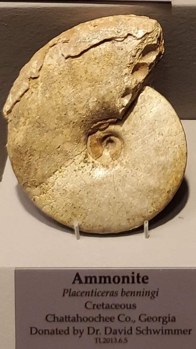 Tellus Science Museum