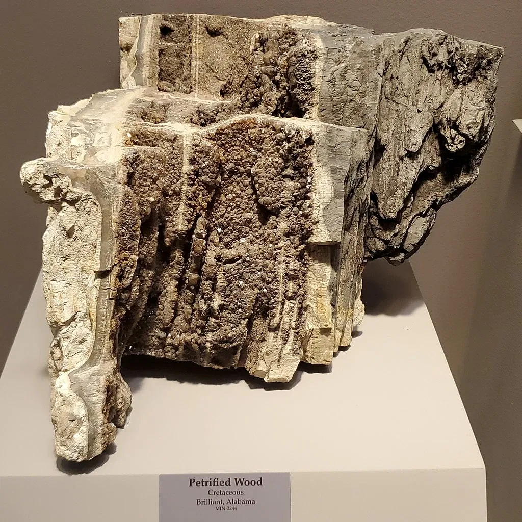 Tellus Science Museum