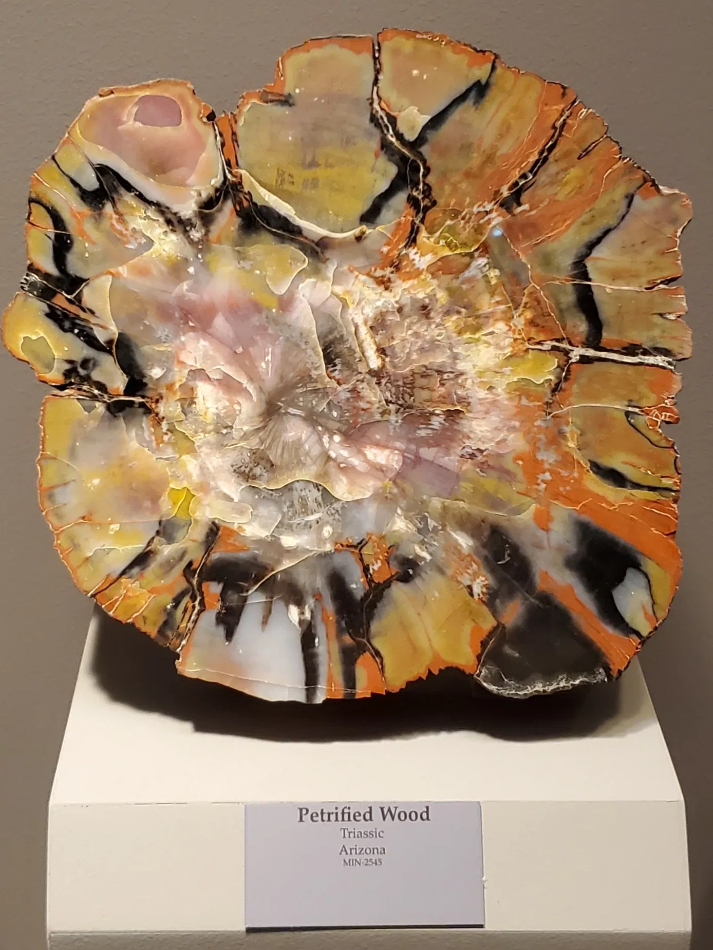 Tellus Science Museum