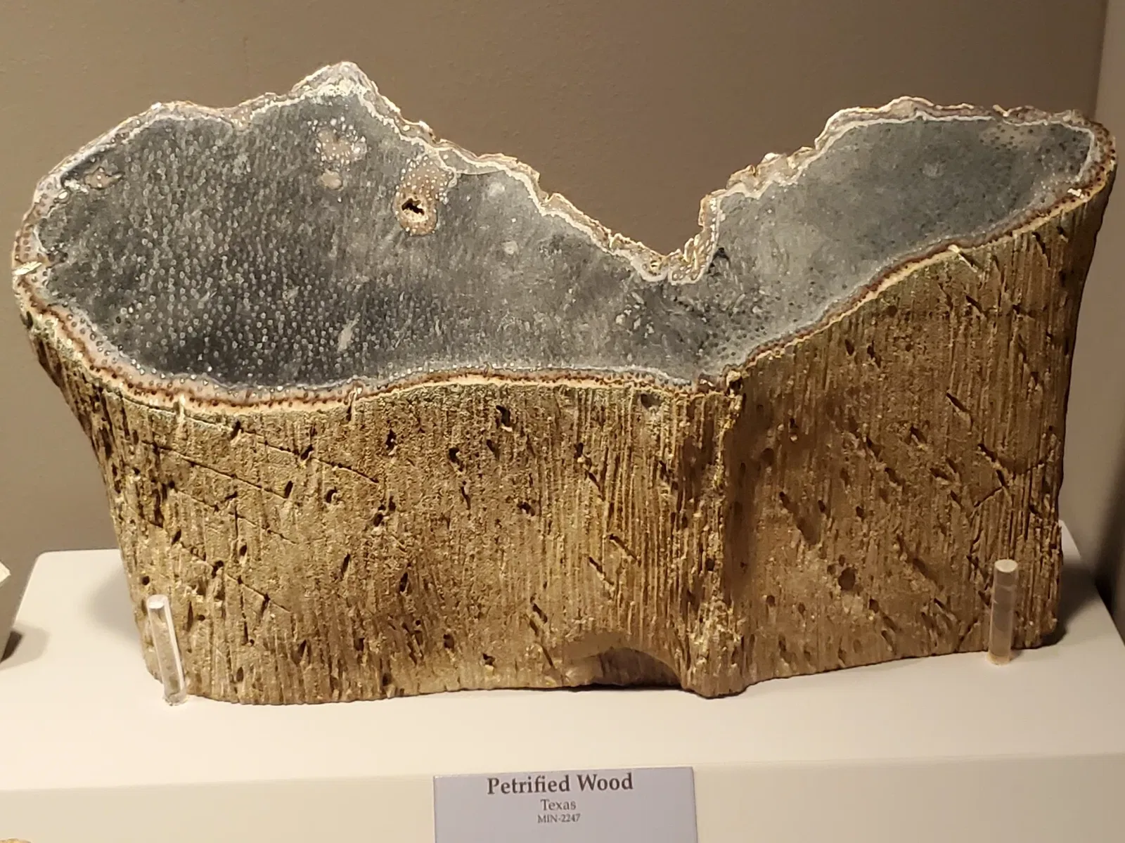 Tellus Science Museum