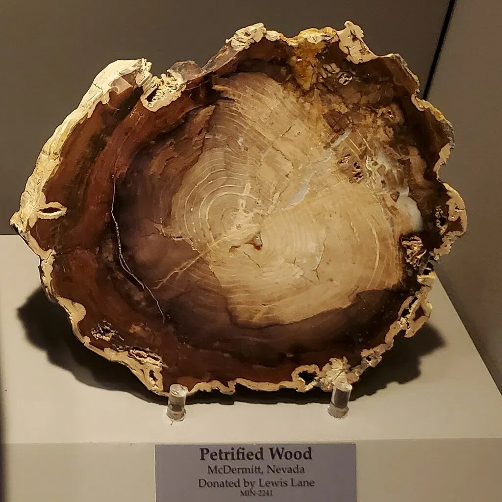 Tellus Science Museum