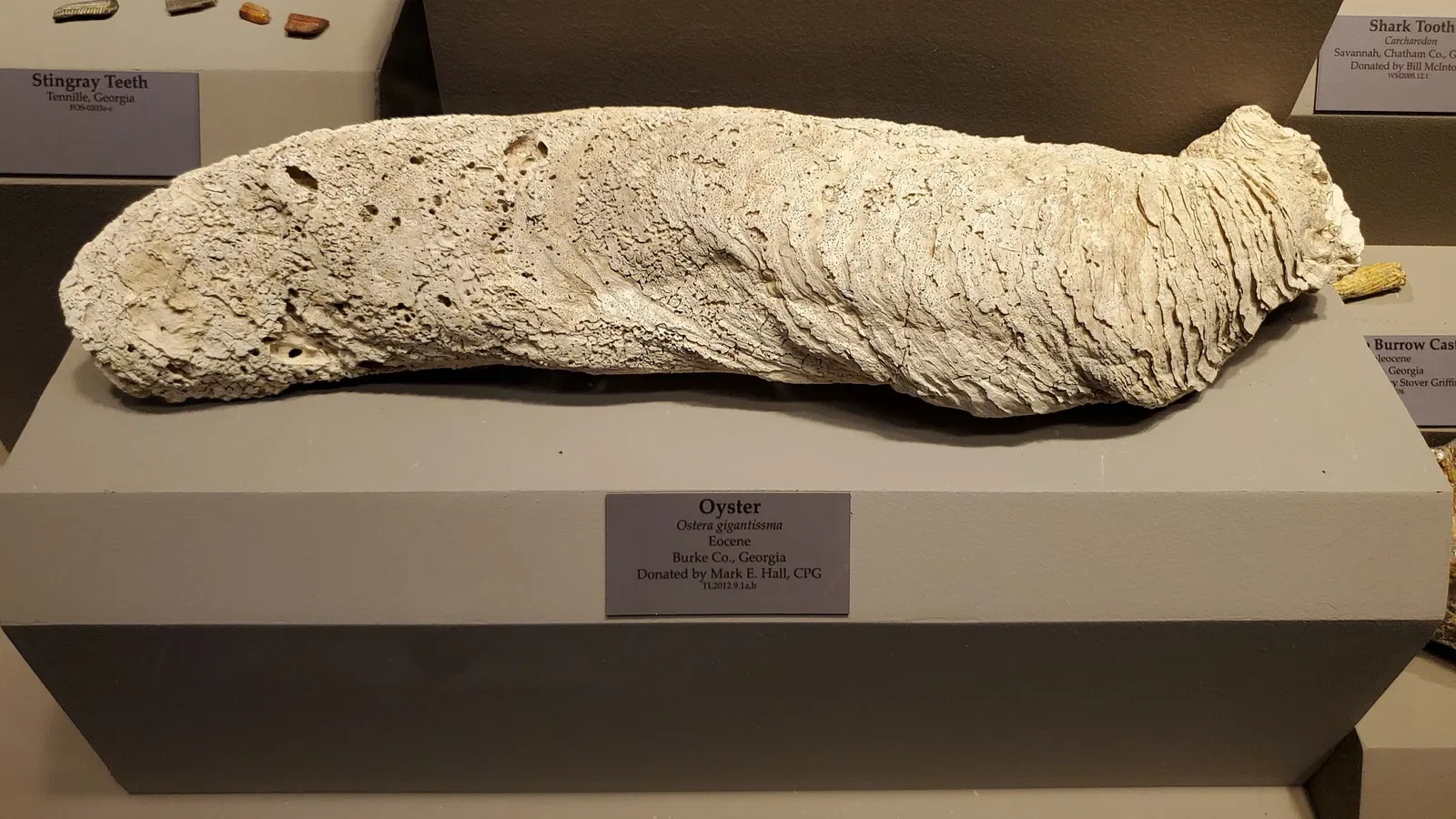 Tellus Science Museum