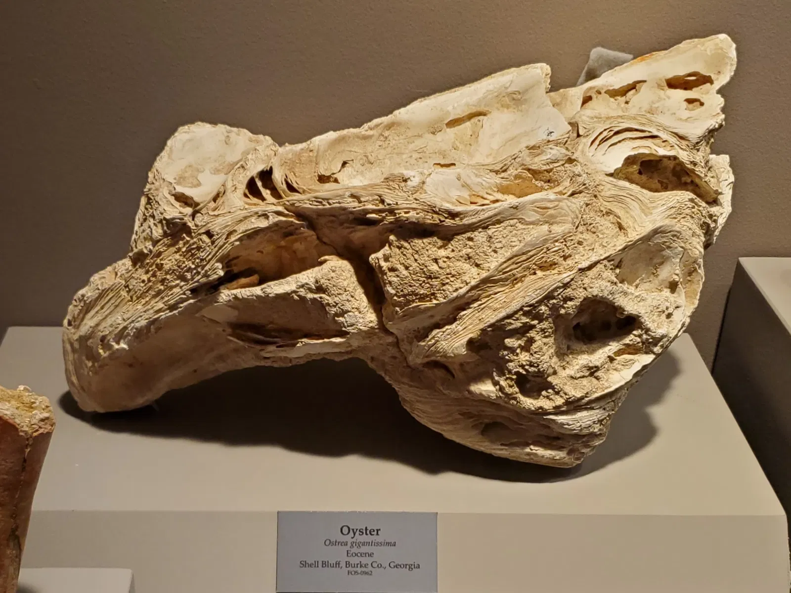 Tellus Science Museum