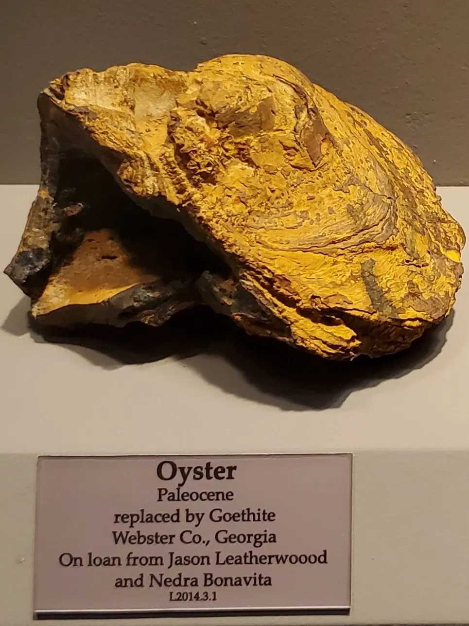 Tellus Science Museum