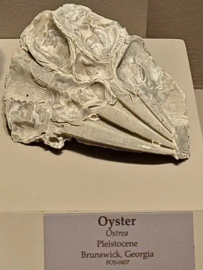 Tellus Science Museum