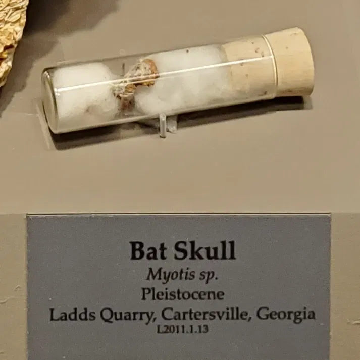 Tellus Science Museum