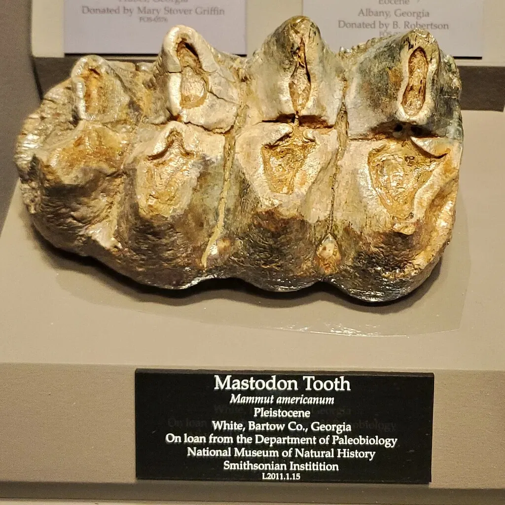 Tellus Science Museum