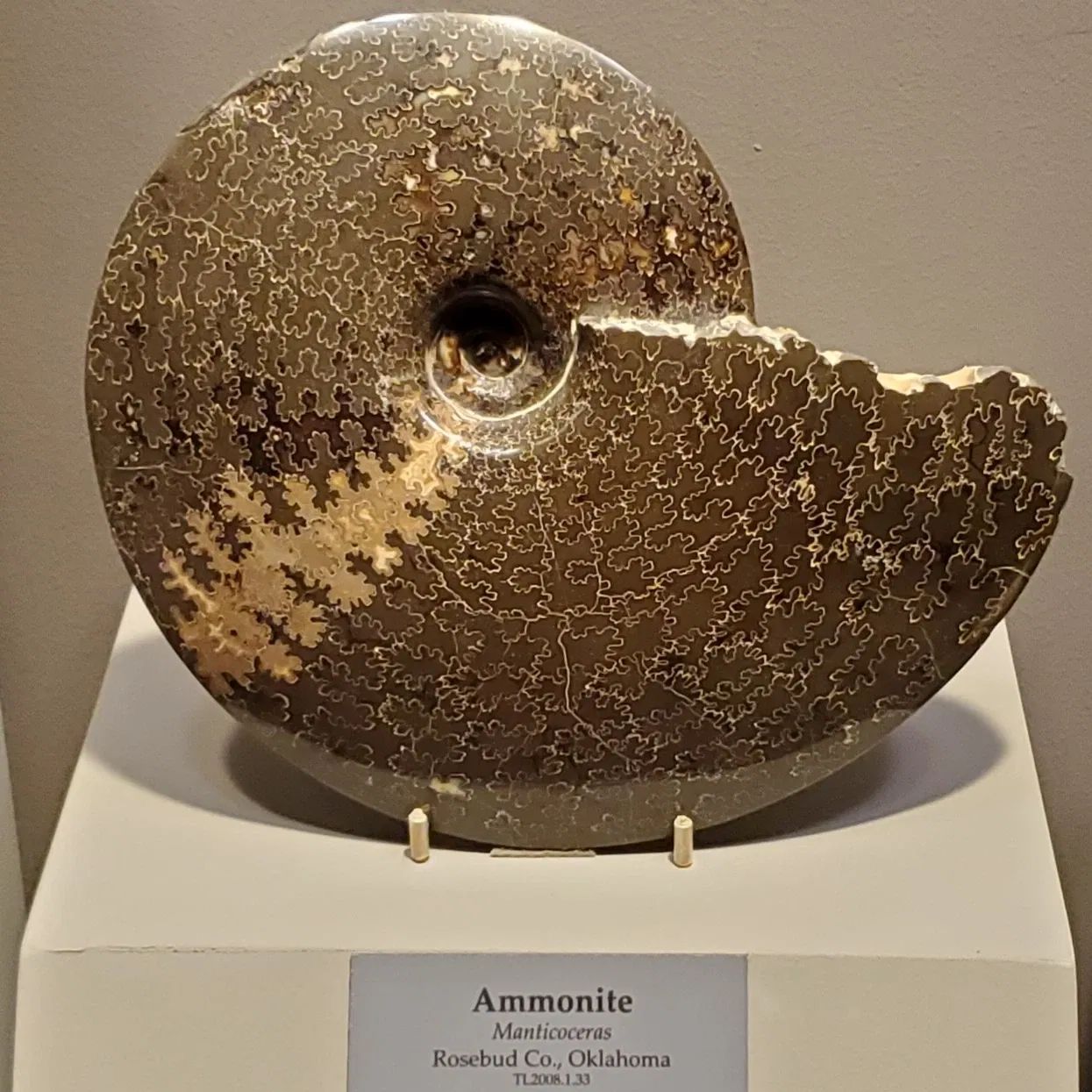 Tellus Science Museum