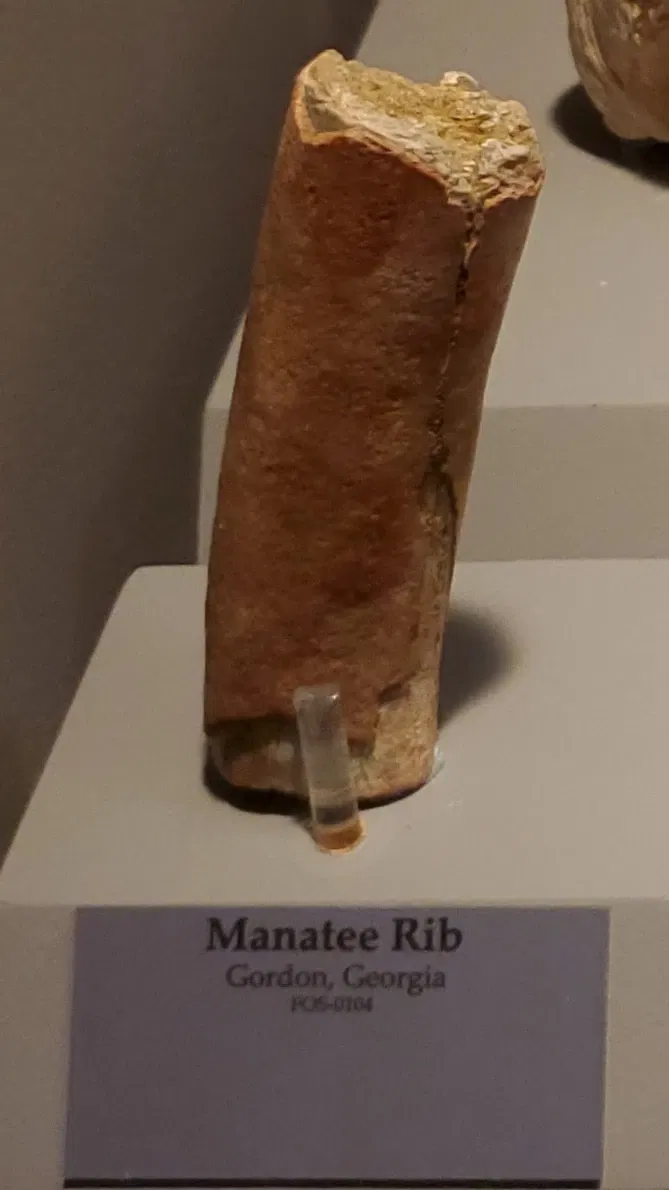 Tellus Science Museum