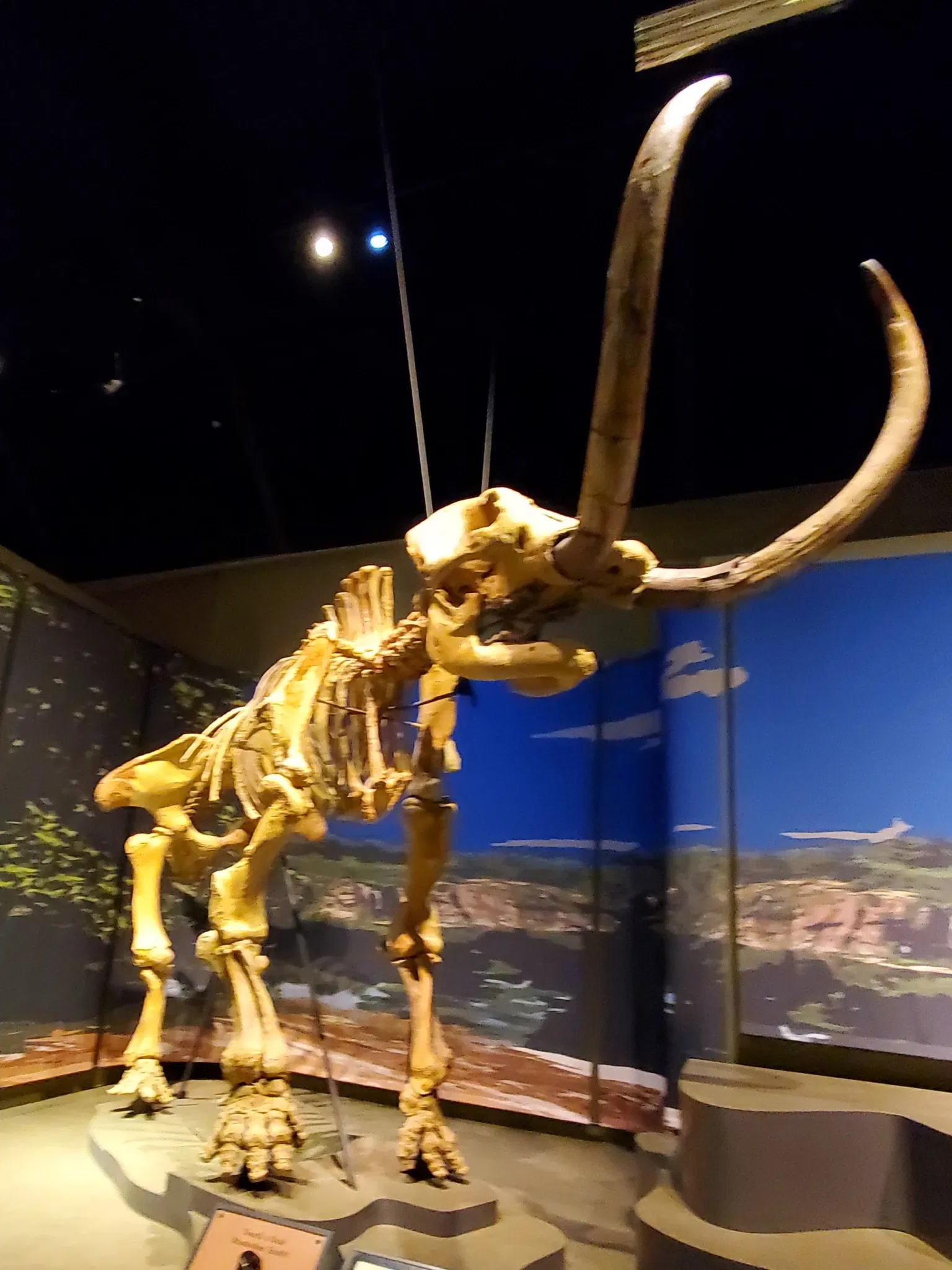 Tellus Science Museum