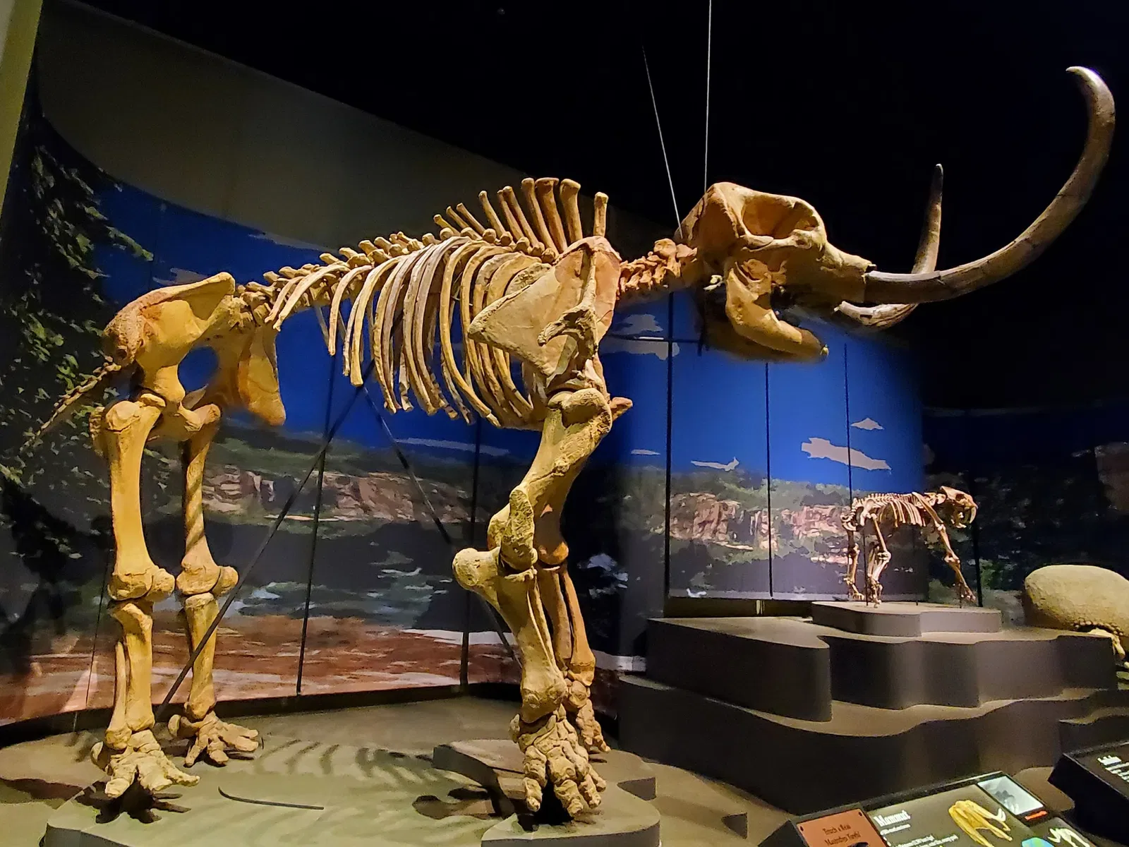 Tellus Science Museum