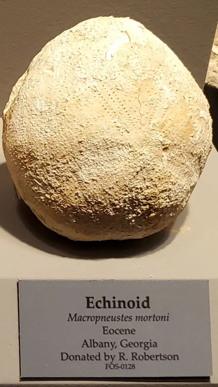 Tellus Science Museum